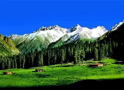 新疆广汇赛前临场应变,志在全明星赛名次提升,态度坚定,纪律约束更严格的简单介绍 新疆广汇赛前临场应变,志在全明星赛名次提升,态度坚定,纪律约束更严格的简单介绍